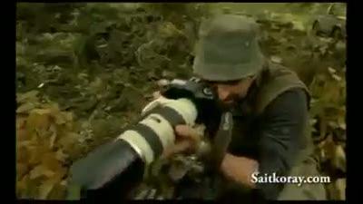 Apaçi dans yapan aslanlar