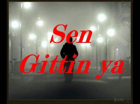 Sen gittin ya ! Gamze Yağmur