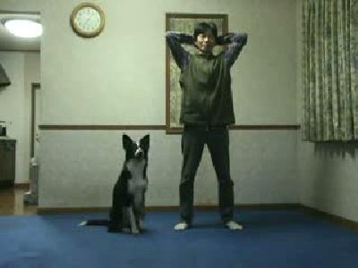 Aerobik Yapan Köpek