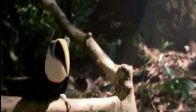 Michael Jackson - Earth Song