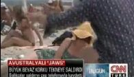 video Köpek Balığı Tekneye Saldırdı!