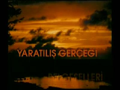 İnsanlara dost hayvanlar