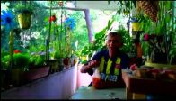 kral ve bahçesinin fener aşkı